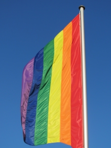 Rainbow flag Charlotte North Carolina DUI DWI Criminal Defense Attorney Lawyer.jpg