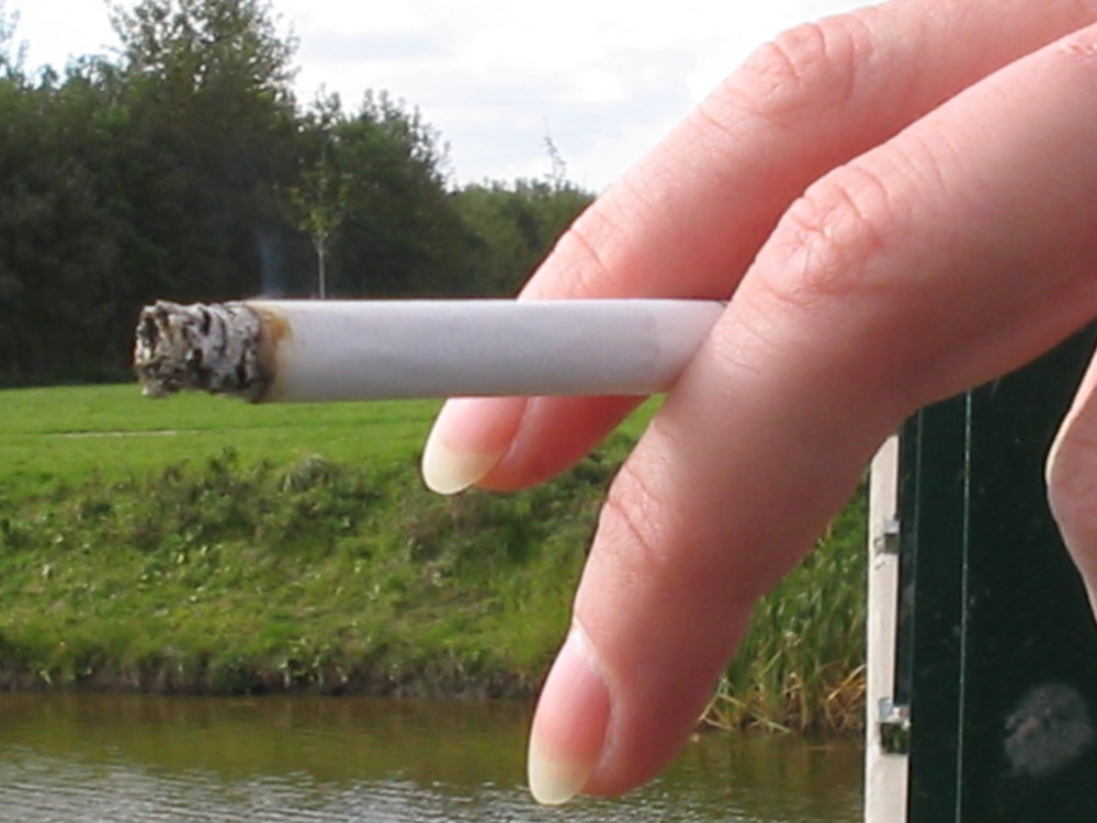 tobacco effects on the economy Do Economic “Benefits” Outweigh the Cost of Smoking?