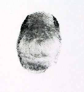 Fingerprint-Charlotte-Criminal-Attorney-274x300