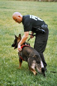 canine-police-search-Charlotte-Monroe-Lake-Norman-200x300